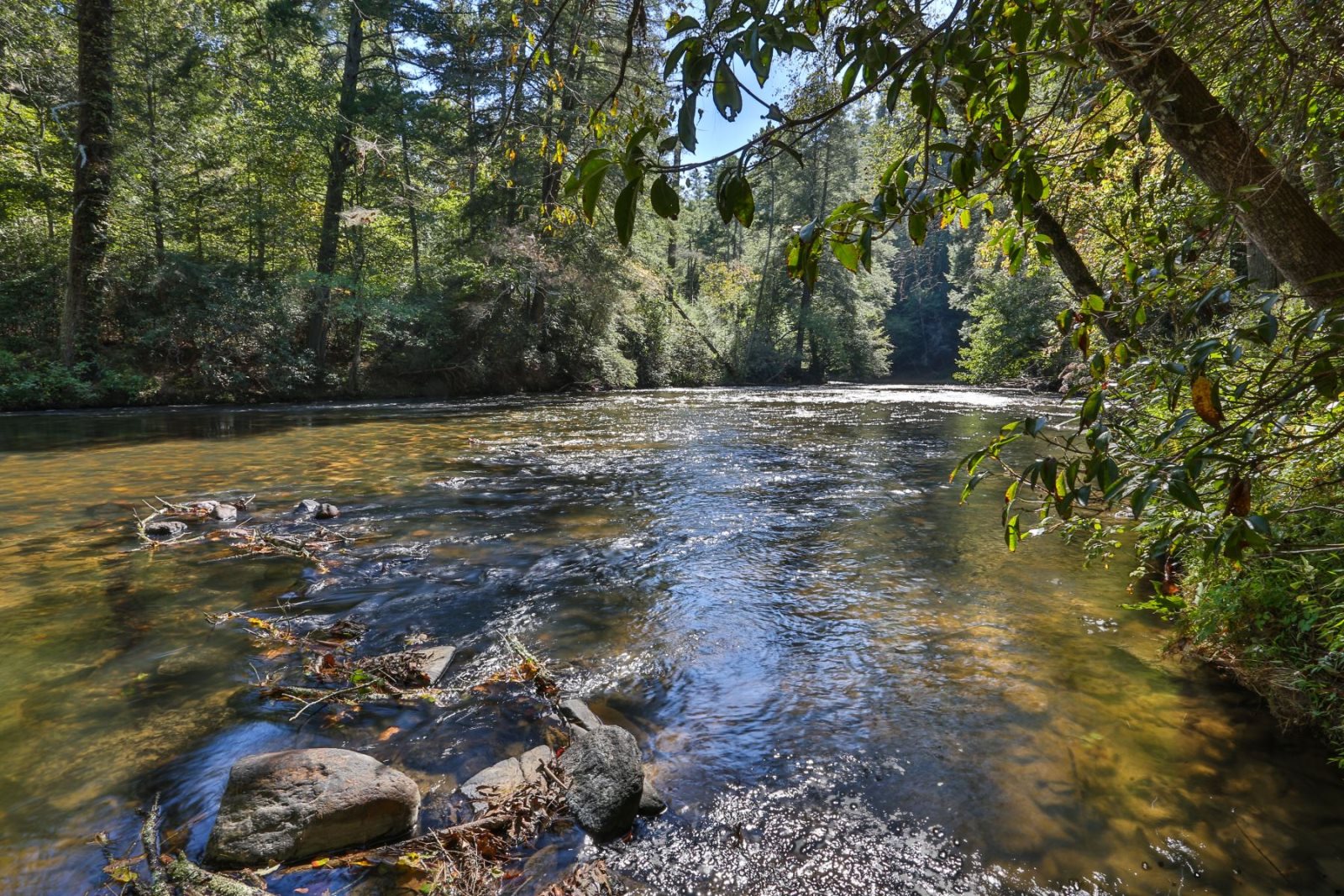 Riverfront Rental Cabin Cartecay River Rapids